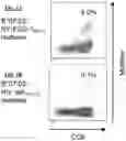 Fig. 02 - T CELL RECEPTORS AND METHODS OF USE THEREOF