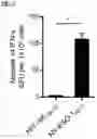 Fig. 03 - T CELL RECEPTORS AND METHODS OF USE THEREOF
