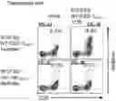 Fig. 05 - T CELL RECEPTORS AND METHODS OF USE THEREOF
