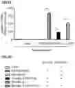 Fig. 07 - T CELL RECEPTORS AND METHODS OF USE THEREOF