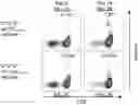 Fig. 03 - T CELL RECEPTORS AND METHODS OF USE THEREOF