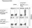 Fig. 06 - T CELL RECEPTORS AND METHODS OF USE THEREOF