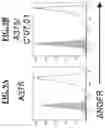 Fig. 10 - T CELL RECEPTORS AND METHODS OF USE THEREOF