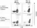 Fig. 02 - T CELL RECEPTORS AND METHODS OF USE THEREOF