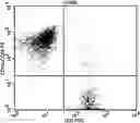 Fig. 01 - METHOD FOR CULTURING ALLOGENEIC IMMUNE CELL, IMMUNE CELL CULTURE OBTAINED THEREBY, AND IMMUNE CELL THERAPEUTIC AGENT COMPRISING SAME