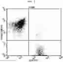 Fig. 02 - METHOD FOR CULTURING ALLOGENEIC IMMUNE CELL, IMMUNE CELL CULTURE OBTAINED THEREBY, AND IMMUNE CELL THERAPEUTIC AGENT COMPRISING SAME