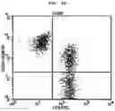 Fig. 05 - METHOD FOR CULTURING ALLOGENEIC IMMUNE CELL, IMMUNE CELL CULTURE OBTAINED THEREBY, AND IMMUNE CELL THERAPEUTIC AGENT COMPRISING SAME