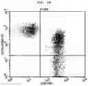 Fig. 06 - METHOD FOR CULTURING ALLOGENEIC IMMUNE CELL, IMMUNE CELL CULTURE OBTAINED THEREBY, AND IMMUNE CELL THERAPEUTIC AGENT COMPRISING SAME
