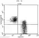Fig. 07 - METHOD FOR CULTURING ALLOGENEIC IMMUNE CELL, IMMUNE CELL CULTURE OBTAINED THEREBY, AND IMMUNE CELL THERAPEUTIC AGENT COMPRISING SAME