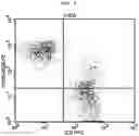 Fig. 09 - METHOD FOR CULTURING ALLOGENEIC IMMUNE CELL, IMMUNE CELL CULTURE OBTAINED THEREBY, AND IMMUNE CELL THERAPEUTIC AGENT COMPRISING SAME