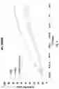 Fig. 05 - Recombinant erIL-15 NK cells