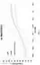 Fig. 06 - Recombinant erIL-15 NK cells
