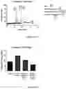 Fig. 27 - FREEZE-DRIED PLATELET DERIVATIVE COMPOSITIONS FOR TREATING ANTIPLATELET INDUCED COAGULOPATHY