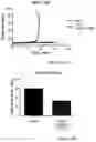 Fig. 30 - FREEZE-DRIED PLATELET DERIVATIVE COMPOSITIONS FOR TREATING ANTIPLATELET INDUCED COAGULOPATHY