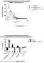 Fig. 31 - FREEZE-DRIED PLATELET DERIVATIVE COMPOSITIONS FOR TREATING ANTIPLATELET INDUCED COAGULOPATHY
