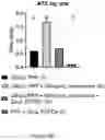 Fig. 45 - FREEZE-DRIED PLATELET DERIVATIVE COMPOSITIONS FOR TREATING ANTIPLATELET INDUCED COAGULOPATHY