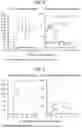 Fig. 03 - Method for producing biological tissue-like structure