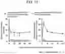 Fig. 10 - Method for producing biological tissue-like structure