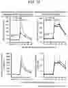 Fig. 11 - Method for producing biological tissue-like structure