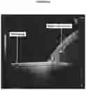 Fig. 10 - METHODS AND COMPOSITIONS FOR PRODUCING HEPATOCYTE-LIKE CELLS