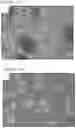 Fig. 29 - METHODS AND COMPOSITIONS FOR PRODUCING HEPATOCYTE-LIKE CELLS