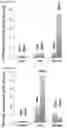Fig. 31 - METHODS AND COMPOSITIONS FOR PRODUCING HEPATOCYTE-LIKE CELLS