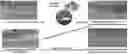 Fig. 01 - METHODS FOR MEASURING THERAPEUTIC EFFECTS OF RETINAL DISEASE THERAPIES