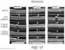 Fig. 10 - METHODS FOR MEASURING THERAPEUTIC EFFECTS OF RETINAL DISEASE THERAPIES