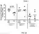 Fig. 04 - NUTRACEUTICAL COMPOSITIONS