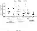 Fig. 06 - NUTRACEUTICAL COMPOSITIONS