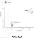 Fig. 25 - NUTRACEUTICAL COMPOSITIONS