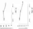 Fig. 13 - Peptide composition from early harvested rice and methods for slimming or promoting growth of probiotics using the same