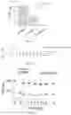 Fig. 05 - Pharmaceutical composition and method for relieving/eliminating morphine-induced analgesic tolerance