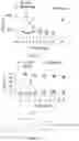 Fig. 06 - Pharmaceutical composition and method for relieving/eliminating morphine-induced analgesic tolerance