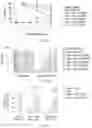 Fig. 09 - Pharmaceutical composition and method for relieving/eliminating morphine-induced analgesic tolerance