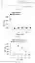 Fig. 10 - Pharmaceutical composition and method for relieving/eliminating morphine-induced analgesic tolerance