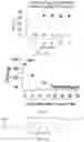 Fig. 11 - Pharmaceutical composition and method for relieving/eliminating morphine-induced analgesic tolerance