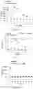 Fig. 16 - Pharmaceutical composition and method for relieving/eliminating morphine-induced analgesic tolerance