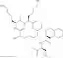 Fig. 144 - NEUROTENSINERGIC AGONISTS AND METHODS OF USING SAME PREVENTING OR TREATING PAIN