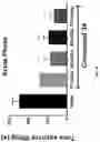 Fig. 15 - NEUROTENSINERGIC AGONISTS AND METHODS OF USING SAME PREVENTING OR TREATING PAIN