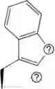 Fig. 173 - NEUROTENSINERGIC AGONISTS AND METHODS OF USING SAME PREVENTING OR TREATING PAIN