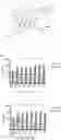 Fig. 01 - Anti-Bacterial Combination Therapy