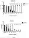 Fig. 05 - Anti-Bacterial Combination Therapy