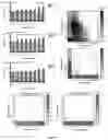 Fig. 07 - Anti-Bacterial Combination Therapy