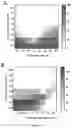 Fig. 17 - Anti-Bacterial Combination Therapy