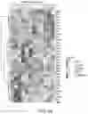 Fig. 13 - METHODS AND COMPOSITIONS FOR TUSC2 IMMUNOTHERAPY