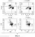 Fig. 19 - METHODS AND COMPOSITIONS FOR TUSC2 IMMUNOTHERAPY