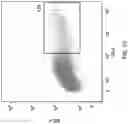 Fig. 10 - METHODS OF MAKING CHIMERIC ANTIGEN RECEPTOR-EXPRESSING CELLS