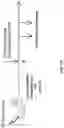 Fig. 11 - METHODS OF MAKING CHIMERIC ANTIGEN RECEPTOR-EXPRESSING CELLS