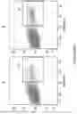 Fig. 14 - METHODS OF MAKING CHIMERIC ANTIGEN RECEPTOR-EXPRESSING CELLS